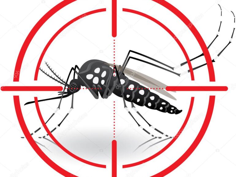 Água sanitária é eficiente no controle de larvas do mosquito Aedes aegypti – aponta ABICLOR
